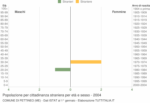 Grafico cittadini stranieri - Pettineo 2004