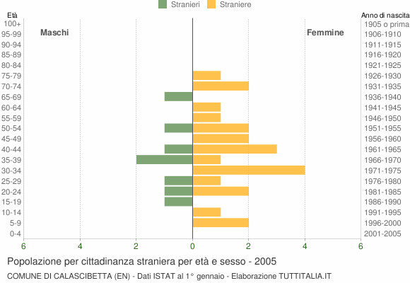 Grafico cittadini stranieri - Calascibetta 2005