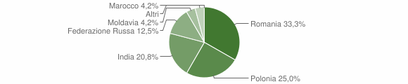Grafico cittadinanza stranieri - Mirto 2015