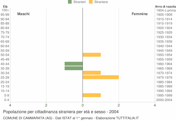 Grafico cittadini stranieri - Cammarata 2004