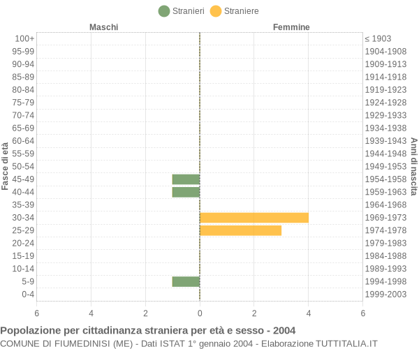 Grafico cittadini stranieri - Fiumedinisi 2004