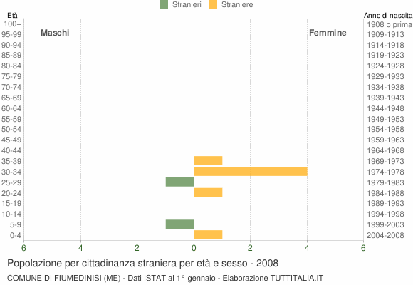 Grafico cittadini stranieri - Fiumedinisi 2008