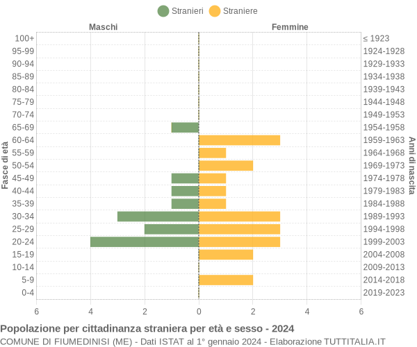 Grafico cittadini stranieri - Fiumedinisi 2024