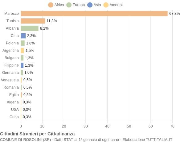 Grafico cittadinanza stranieri - Rosolini 2006