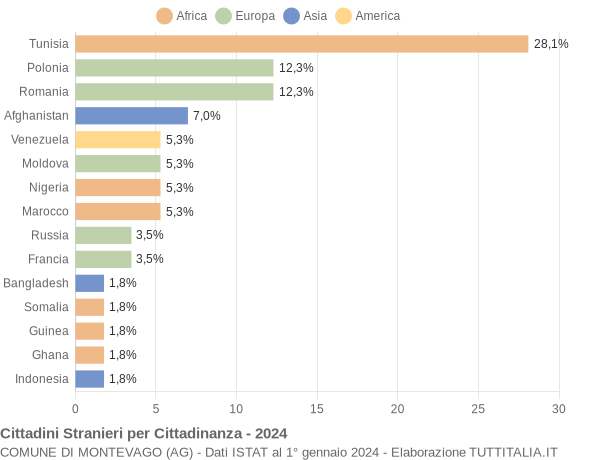 Grafico cittadinanza stranieri - Montevago 2024