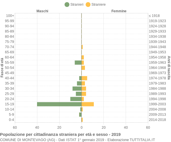 Grafico cittadini stranieri - Montevago 2019