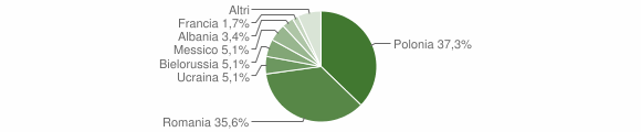 Grafico cittadinanza stranieri - Santa Lucia del Mela 2012