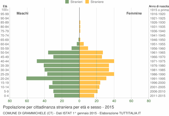 Grafico cittadini stranieri - Grammichele 2015