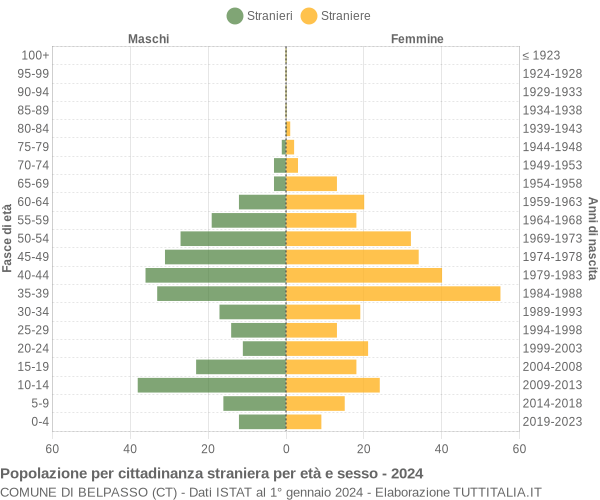 Grafico cittadini stranieri - Belpasso 2024