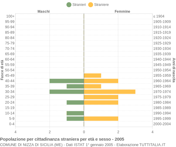 Grafico cittadini stranieri - Nizza di Sicilia 2005