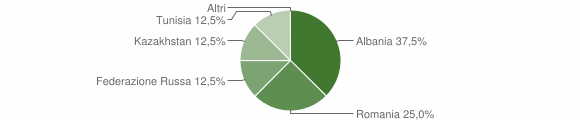 Grafico cittadinanza stranieri - Vita 2006