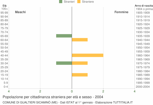 Grafico cittadini stranieri - Gualtieri Sicaminò 2004