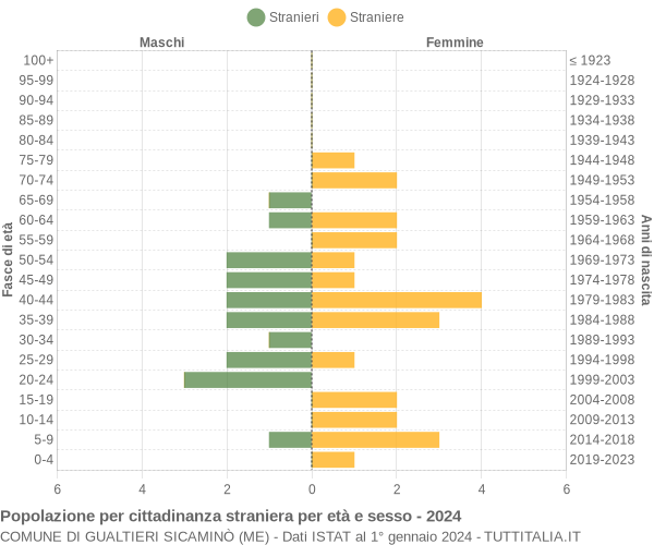 Grafico cittadini stranieri - Gualtieri Sicaminò 2024