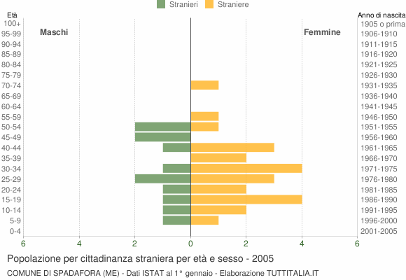 Grafico cittadini stranieri - Spadafora 2005