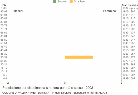 Grafico cittadini stranieri - Valdina 2003