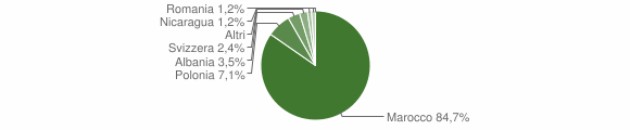 Grafico cittadinanza stranieri - Rodì Milici 2007