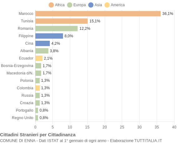 Grafico cittadinanza stranieri - Enna 2006