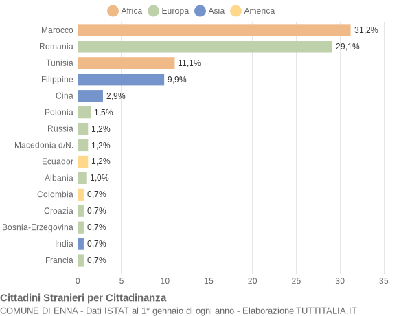 Grafico cittadinanza stranieri - Enna 2008