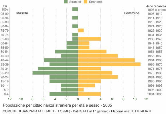 Grafico cittadini stranieri - Sant'Agata di Militello 2005