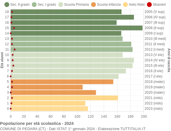 Grafico Popolazione in età scolastica - Pedara 2024