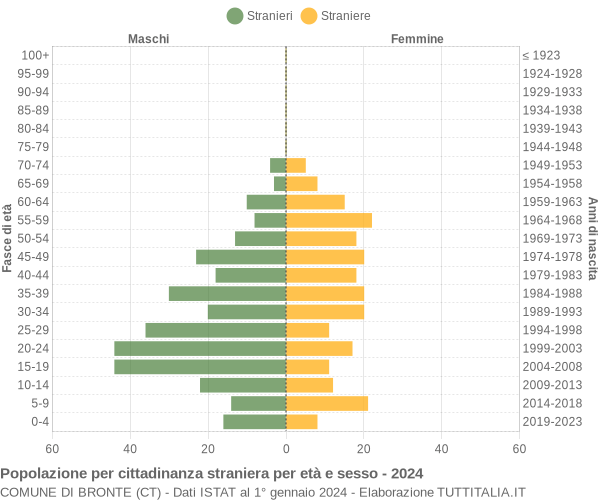 Grafico cittadini stranieri - Bronte 2024