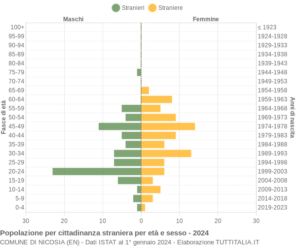 Grafico cittadini stranieri - Nicosia 2024