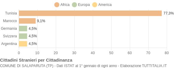 Grafico cittadinanza stranieri - Salaparuta 2006