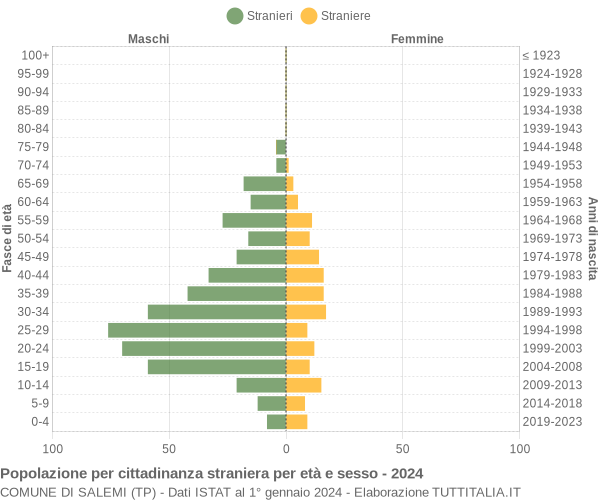 Grafico cittadini stranieri - Salemi 2024