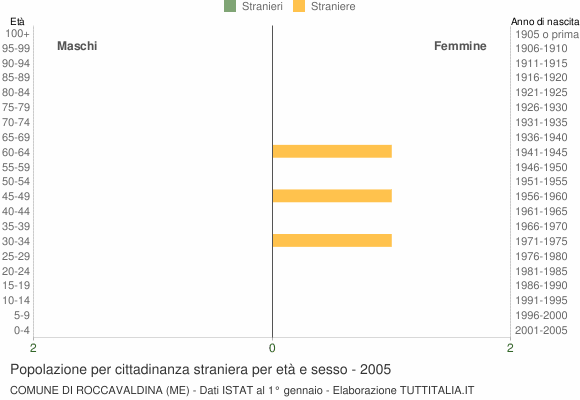 Grafico cittadini stranieri - Roccavaldina 2005
