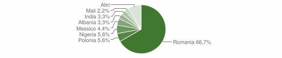 Grafico cittadinanza stranieri - Castel di Iudica 2015