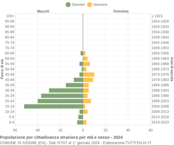 Grafico cittadini stranieri - Aidone 2024