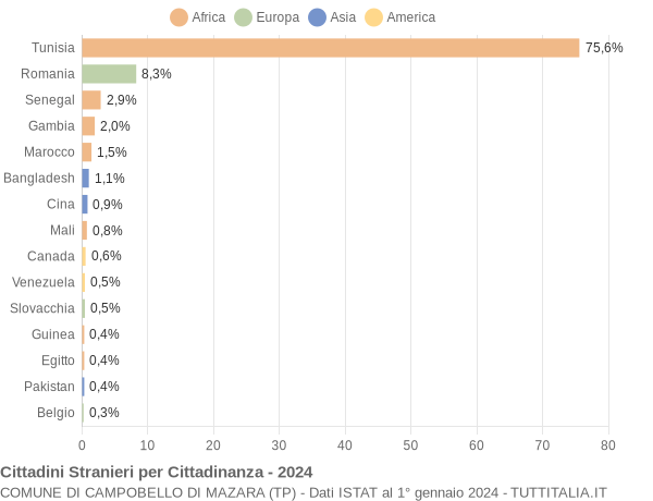 Grafico cittadinanza stranieri - Campobello di Mazara 2024