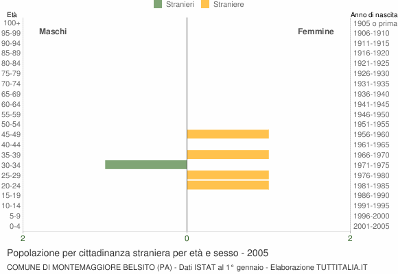 Grafico cittadini stranieri - Montemaggiore Belsito 2005
