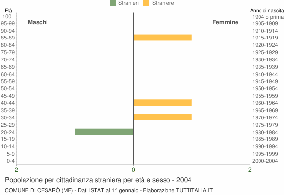 Grafico cittadini stranieri - Cesarò 2004