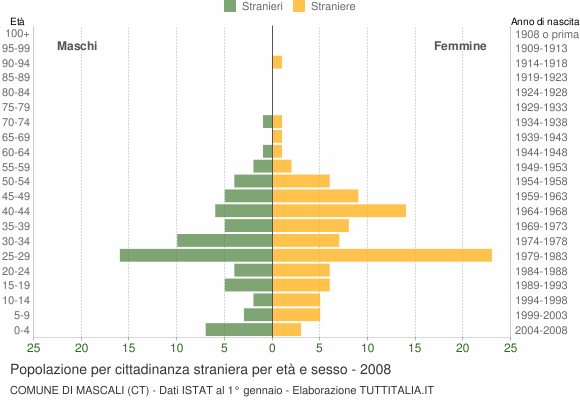 Grafico cittadini stranieri - Mascali 2008