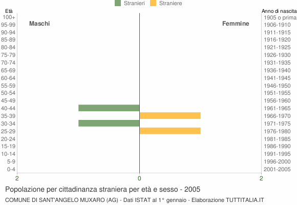 Grafico cittadini stranieri - Sant'Angelo Muxaro 2005