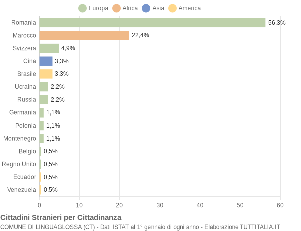 Grafico cittadinanza stranieri - Linguaglossa 2010