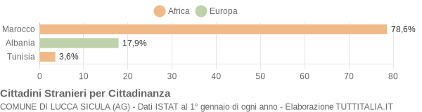 Grafico cittadinanza stranieri - Lucca Sicula 2008