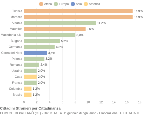 Grafico cittadinanza stranieri - Paternò 2005