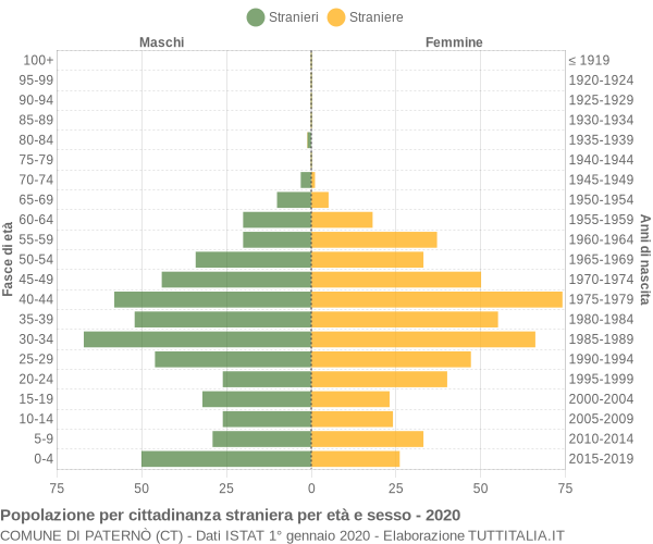 Grafico cittadini stranieri - Paternò 2020