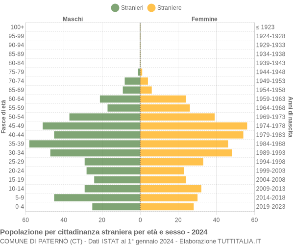 Grafico cittadini stranieri - Paternò 2024