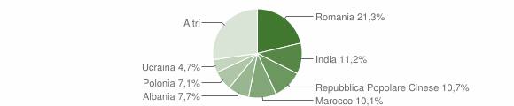 Grafico cittadinanza stranieri - Brolo 2013