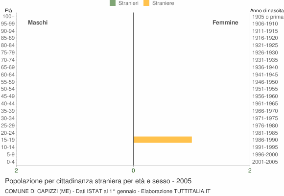 Grafico cittadini stranieri - Capizzi 2005
