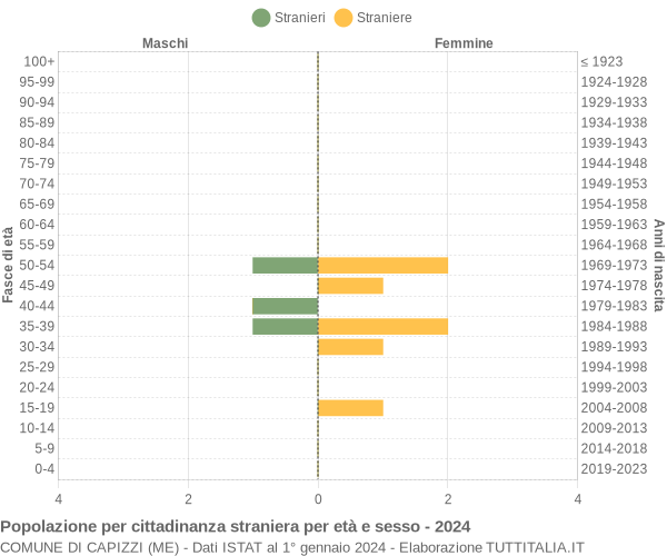 Grafico cittadini stranieri - Capizzi 2024