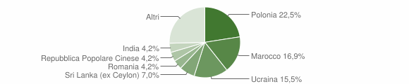 Grafico cittadinanza stranieri - Gioiosa Marea 2005