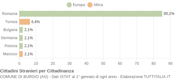 Grafico cittadinanza stranieri - Burgio 2013