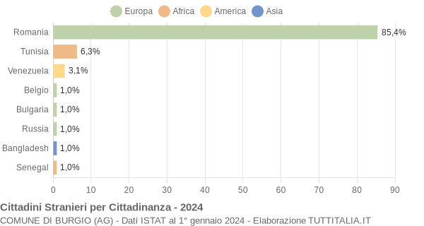 Grafico cittadinanza stranieri - Burgio 2024