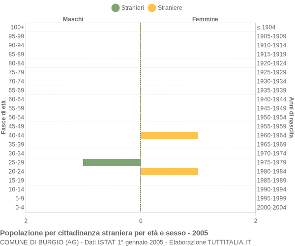 Grafico cittadini stranieri - Burgio 2005