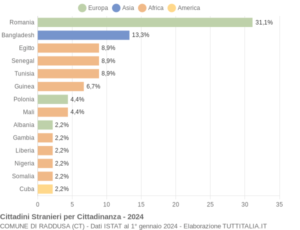 Grafico cittadinanza stranieri - Raddusa 2024