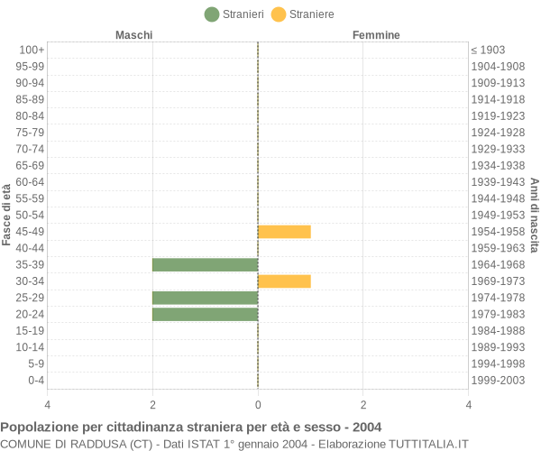 Grafico cittadini stranieri - Raddusa 2004